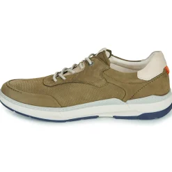 Fluchos - JEFF Kaki Discount