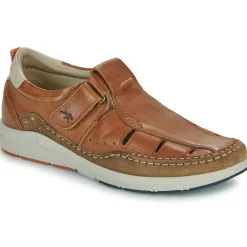 Fluchos - KAI S Marron Online