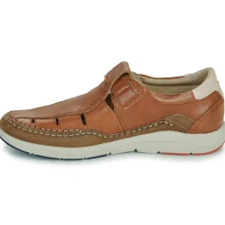 Fluchos - KAI S Marron Online