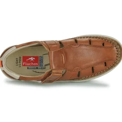 Fluchos - KAI S Marron Online