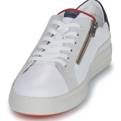 Fluchos Baskets Mode^- NEMO