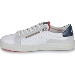 Fluchos Baskets Mode^- NEMO