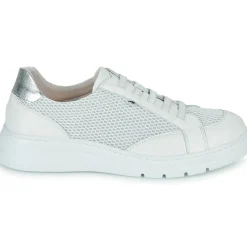 Fluchos Baskets Mode^- POMPAS