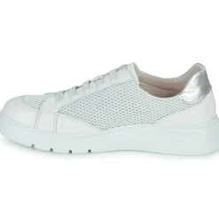 Fluchos Baskets Mode^- POMPAS