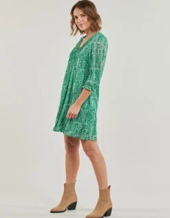 Freeman T.Porter - JUNA TIGREA Vert Outlet