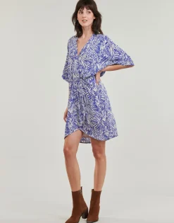 Freeman T.Porter - ROZA ZEBRURE Bleu Outlet