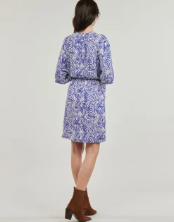 Freeman T.Porter - ROZA ZEBRURE Bleu Outlet