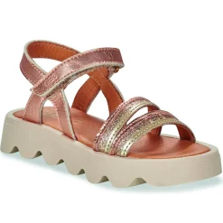 GBB - ALBA Rose Online