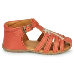 GBB - ANAYA Corail Hot