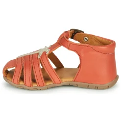 GBB - ANAYA Corail Hot