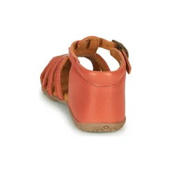 GBB - ANAYA Corail Hot