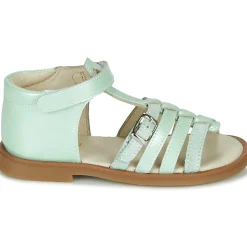 GBB - ANTIGA Vert New