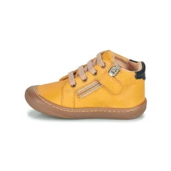 GBB - APODAMI Jaune