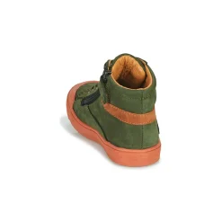 GBB Baskets Mode^- ARNOLD
