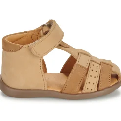 GBB - BARNI Marron