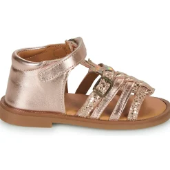 GBB - CARETTE Rose