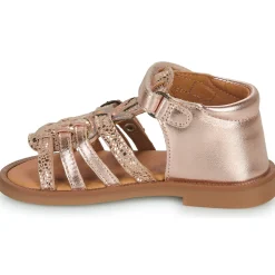 GBB - CARETTE Rose