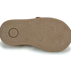 GBB - CARIGO Marron Discount