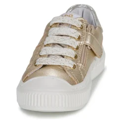 GBB - COLISA< Baskets Mode