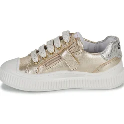 GBB - COLISA< Baskets Mode