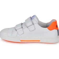 GBB Baskets Mode^- COSIMO