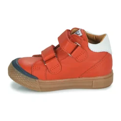 GBB Baskets Mode^- DAVAD