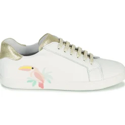 GBB - EDONIA Blanc New