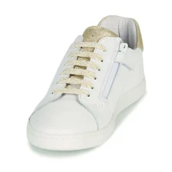 GBB - EDONIA Blanc New