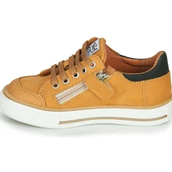 GBB - ETIO Cognac Best