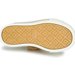 GBB - ETIO Cognac Best
