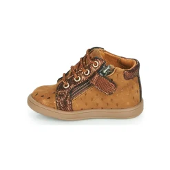 GBB - FAMIA Marron Clearance