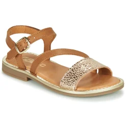 GBB - FANA Cognac New