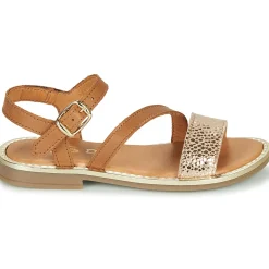 GBB - FANA Cognac New