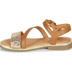 GBB - FANA Cognac New