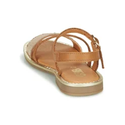 GBB - FANA Cognac New