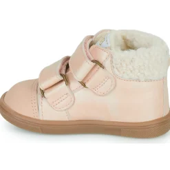 GBB - GONTRAN Rose Online