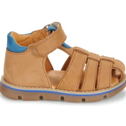 GBB - NOAM Marron Online