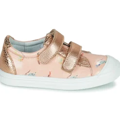 GBB - NOELLA Rose Outlet
