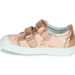 GBB - NOELLA Rose Outlet