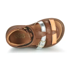 GBB - OLLIE Marron Online