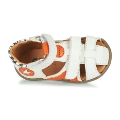 GBB - POLITO Blanc Discount