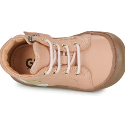 GBB - REINETTE FLEX Rose Clearance