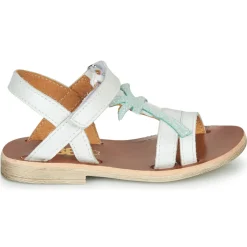 GBB - SAPELA Blanc New