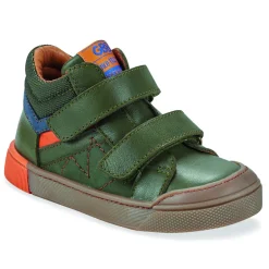 GBB - TANGUY Vert Online