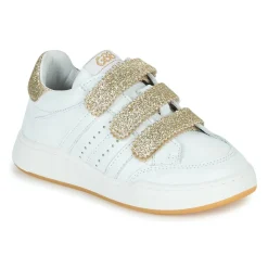 GBB Baskets Mode^- TELENA