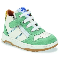 GBB - VALDECK Vert Best