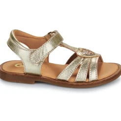 GBB - ZEALINE Doré Sale