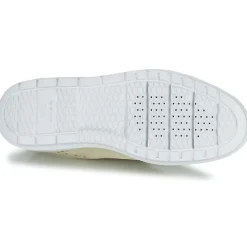 Geox - KAULA< Baskets Mode