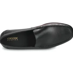 Geox - U ASCANIO< Mocassins & Chaussures Bateau