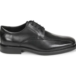 Geox - U BRANDOLF Noir Online